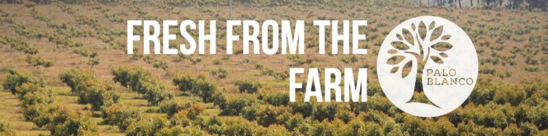 Tickets Corporación PB